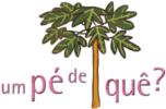 um p&eacute; de qu&ecirc;?